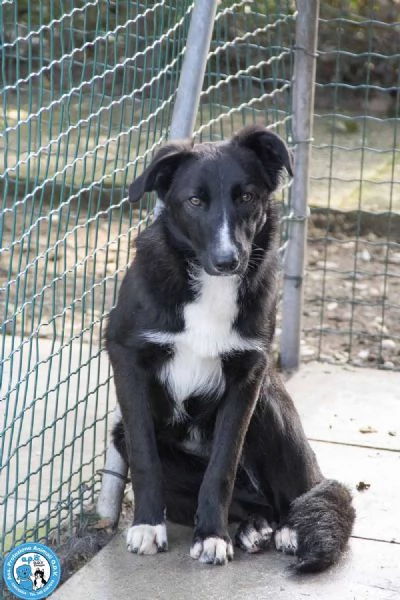 Nina, Nana e Noah: il club degli invisibili | Foto 3