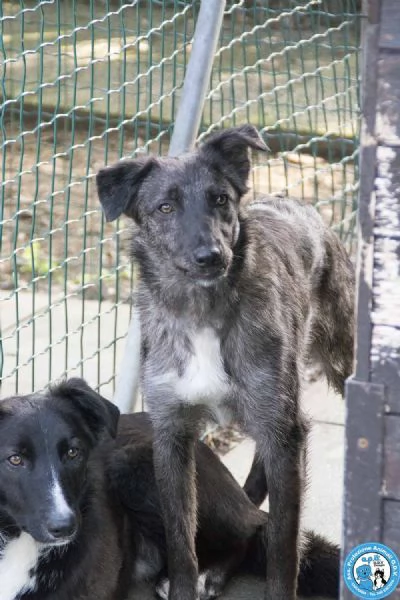 Nina, Nana e Noah: il club degli invisibili | Foto 2