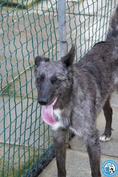 Nina, Nana e Noah: il club degli invisibili | Foto 1