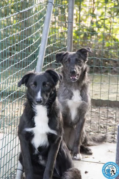 Nina, Nana e Noah: il club degli invisibili | Foto 0