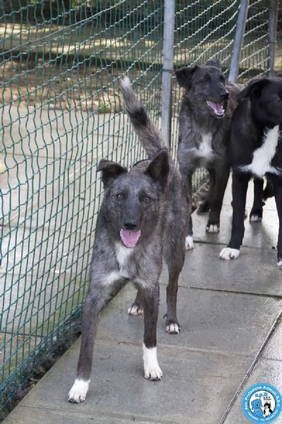 Nina, Nana e Noah: il club degli invisibili