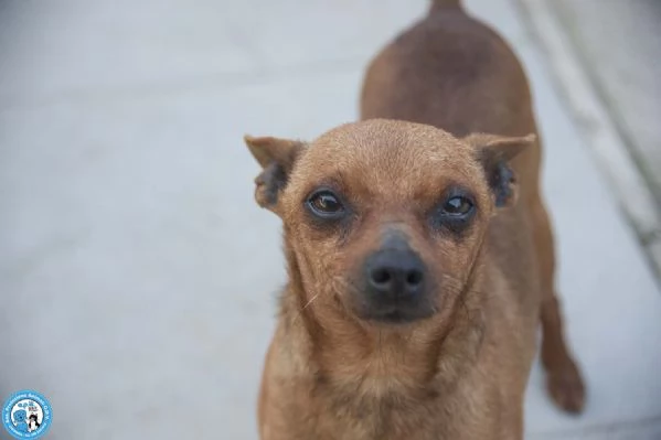 Tuono: 5 chili di personalit&agrave; e un cuore da riparare | Foto 2