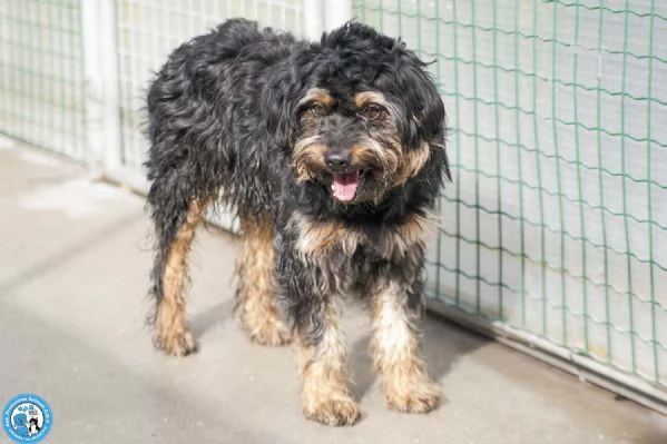 Teo: il riscatto di un piccolo guerriero | Foto 3