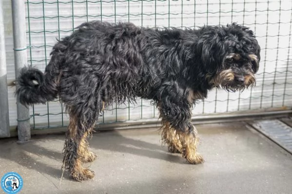 Teo: il riscatto di un piccolo guerriero | Foto 2