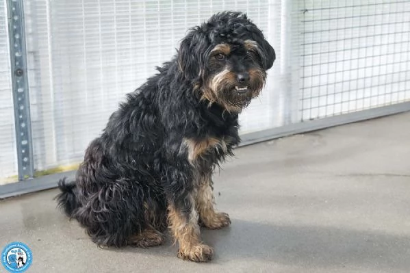 Teo: il riscatto di un piccolo guerriero | Foto 1