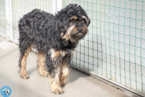 Teo: il riscatto di un piccolo guerriero | Foto 0