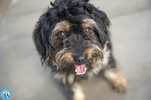 Teo: il riscatto di un piccolo guerriero