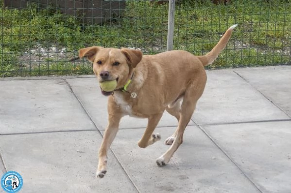 Washy: cercasi umano disposto a farsi rubare il cuore | Foto 4