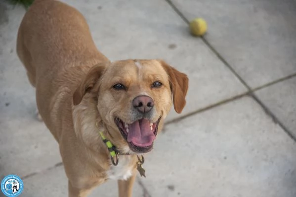 Washy: cercasi umano disposto a farsi rubare il cuore | Foto 3