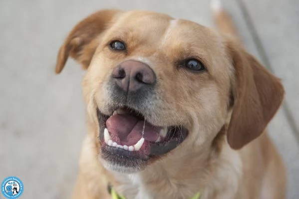 Washy: cercasi umano disposto a farsi rubare il cuore | Foto 2