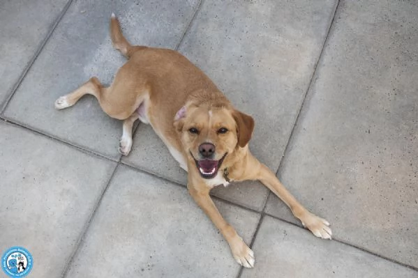 Washy: cercasi umano disposto a farsi rubare il cuore | Foto 1