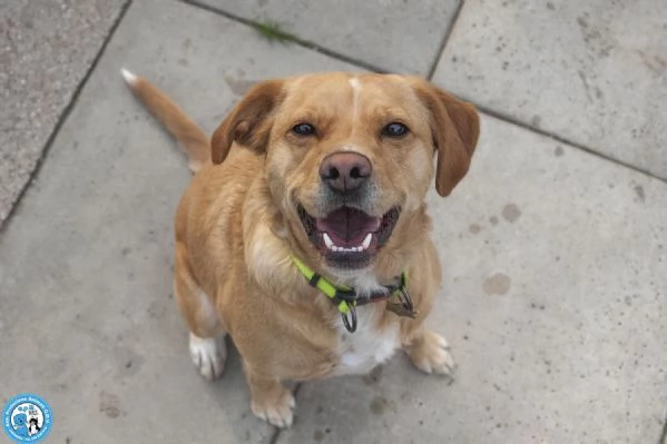 Washy: cercasi umano disposto a farsi rubare il cuore