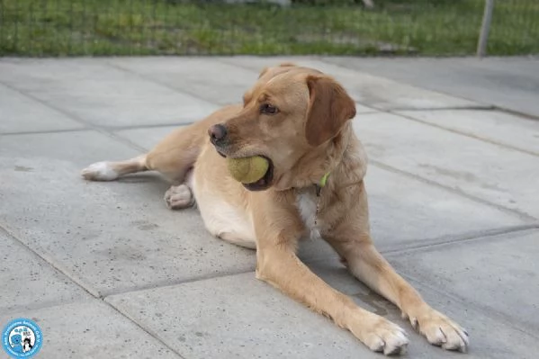 Washy: cercasi umano disposto a farsi rubare il cuore | Foto 0