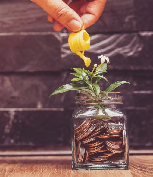 startup your business at 3% rate loan apply now