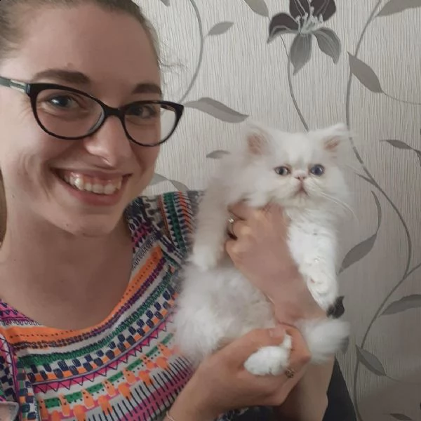 edgar ed edna gattini persiani