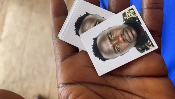 regalo maltese cucciolo mini