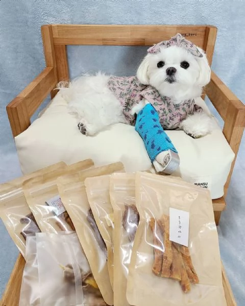 regalo maltese | Foto 0