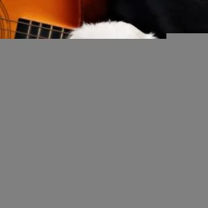  regalo maltese | Foto 0