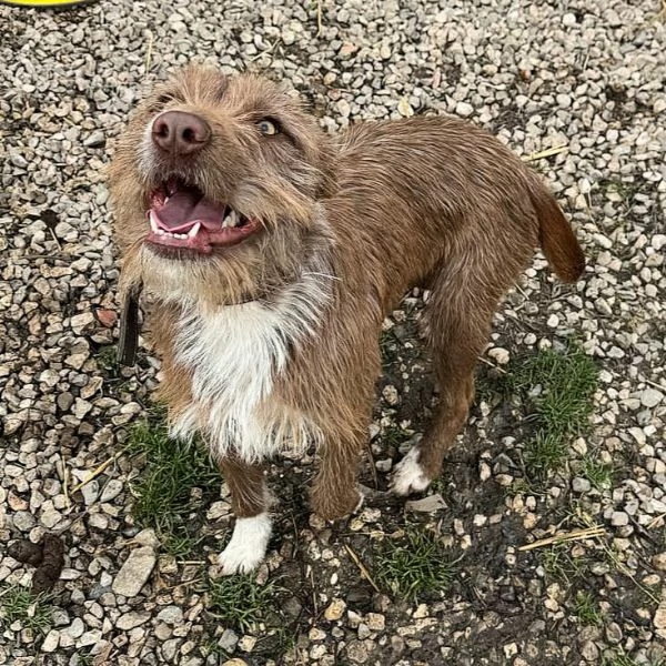 Elide 1 anno taglia media contenuta  | Foto 2