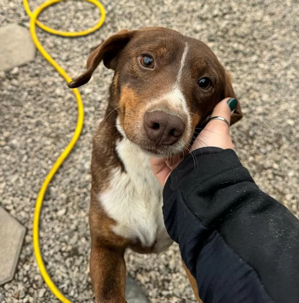 Rudy 4 anni Taglia piccola 