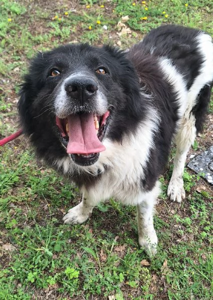 Cosmo 3 anni Taglia grande