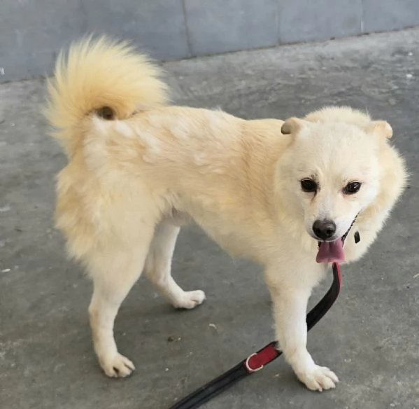 Leon 6 anni Taglia piccola  | Foto 3