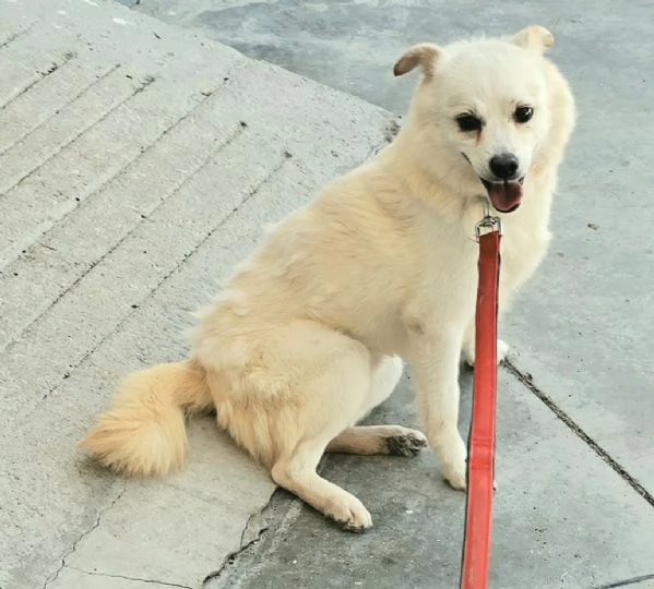 Leon 6 anni Taglia piccola  | Foto 1