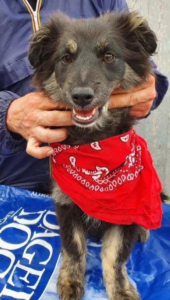 cara mamma,anch'io ho un cuore uguale aglia ltri cuccioli! | Foto 0