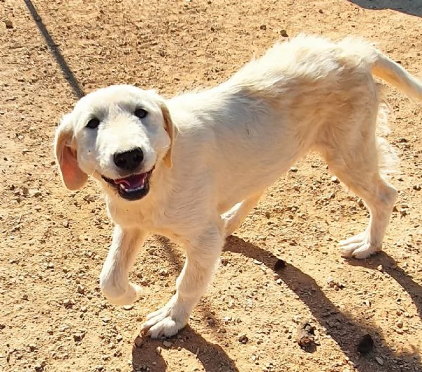 bella e le ferite dell'anima! | Foto 6