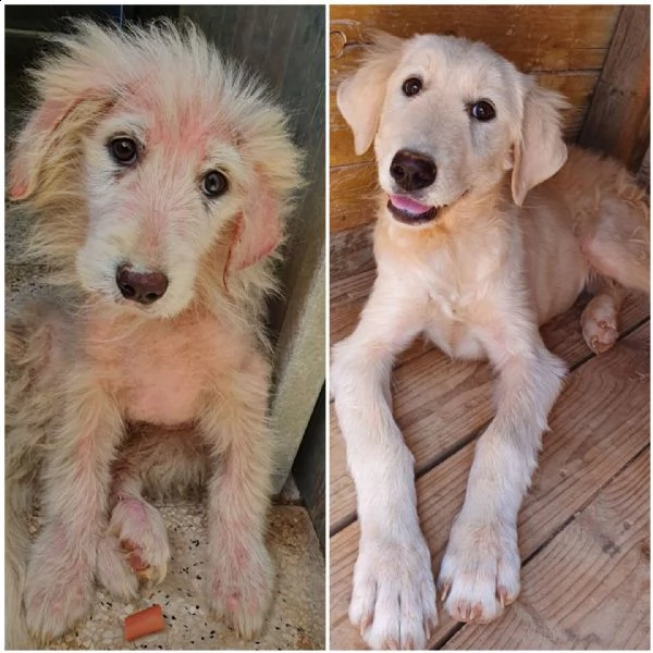 bella e le ferite dell'anima!