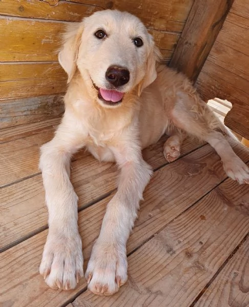 bella e le ferite dell'anima! | Foto 5