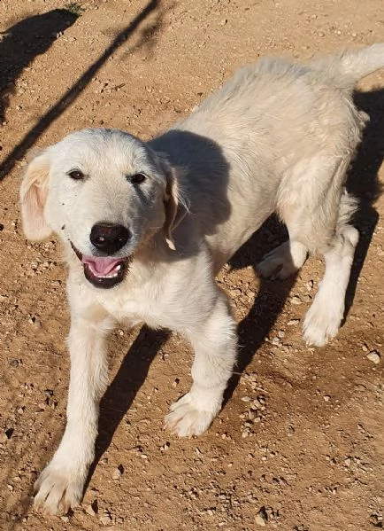 bella e le ferite dell'anima! | Foto 4