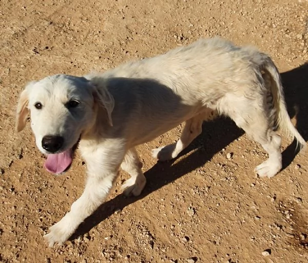 bella e le ferite dell'anima! | Foto 3