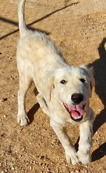 bella e le ferite dell'anima! | Foto 2