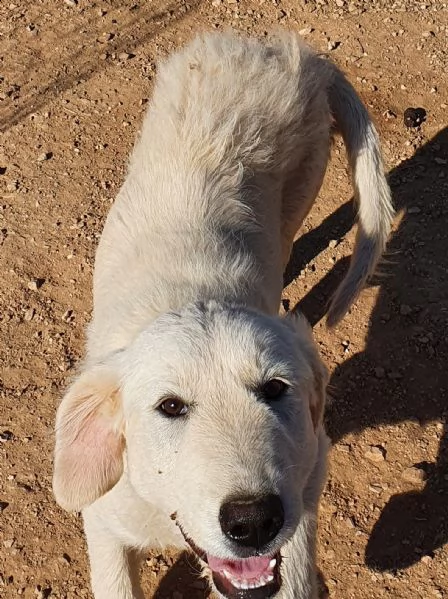 bella e le ferite dell'anima! | Foto 1