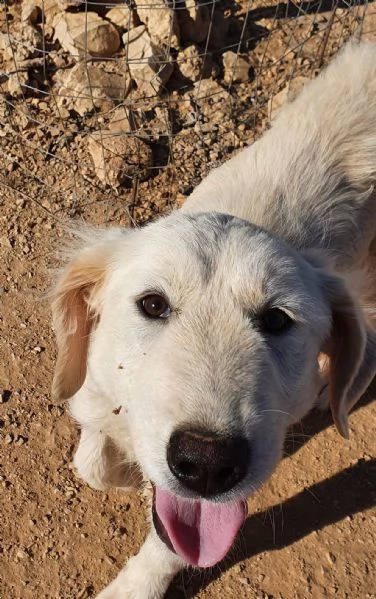 bella e le ferite dell'anima! | Foto 0