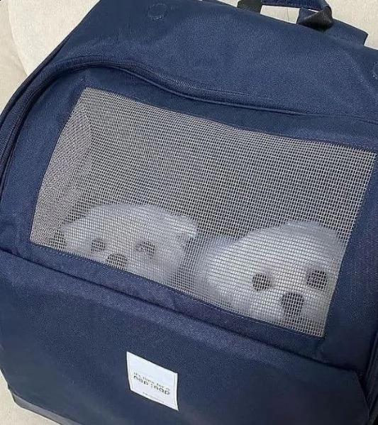  regalo carlino... | Foto 0