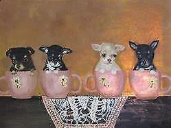 cuccioletto di pincher chihuahua miniature toy