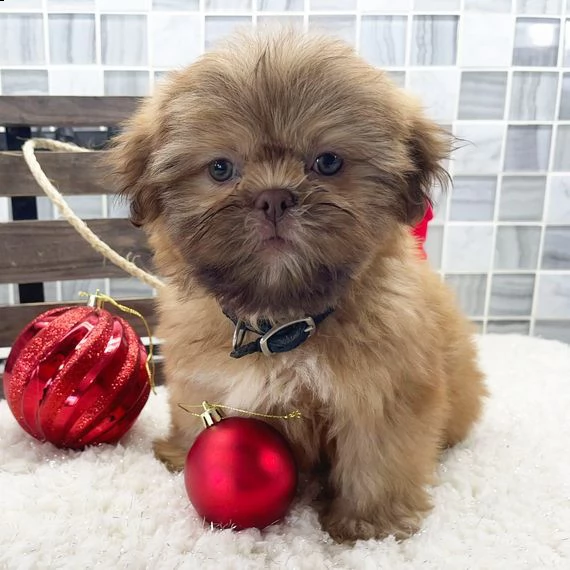 mi sento adorabile perché mi hai trovato!  