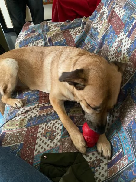 Una nuova famiglia per Carmen | Foto 6