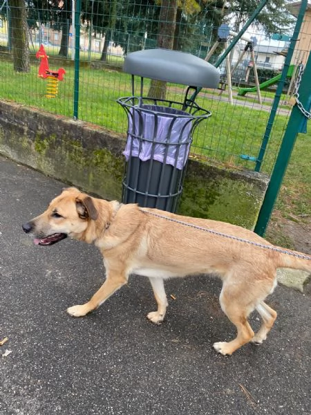Una nuova famiglia per Carmen | Foto 5
