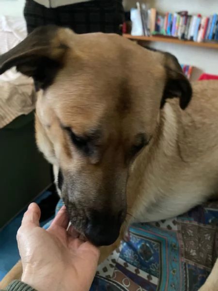 Una nuova famiglia per Carmen | Foto 2