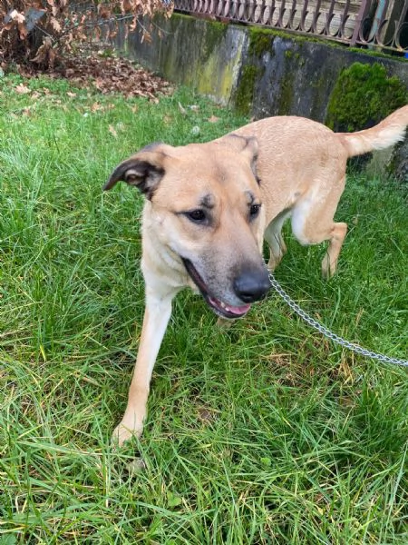 Una nuova famiglia per Carmen | Foto 1