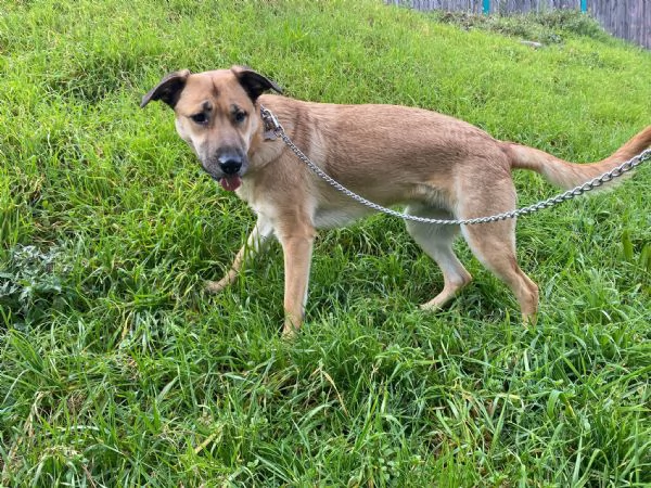Una nuova famiglia per Carmen | Foto 0