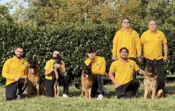 cuccioli di pastore tedesco allevamento enci/fci | Foto 2