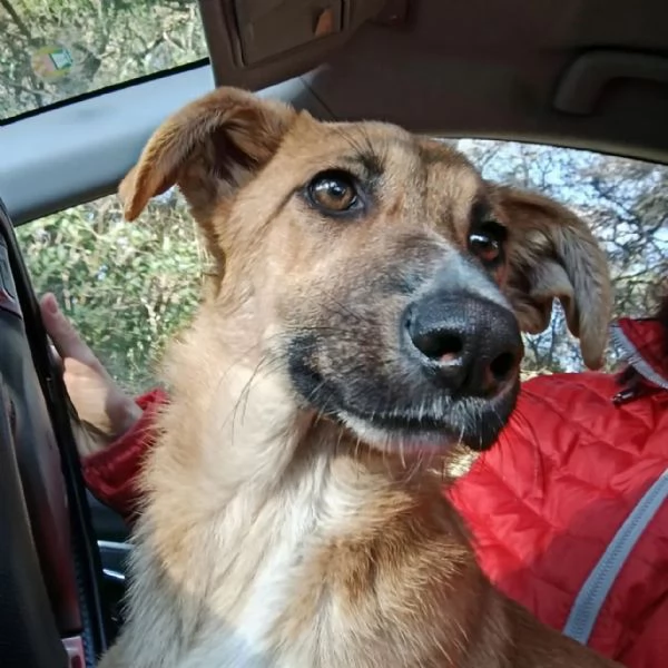 Sceglimi, portami a casa con te | Foto 2