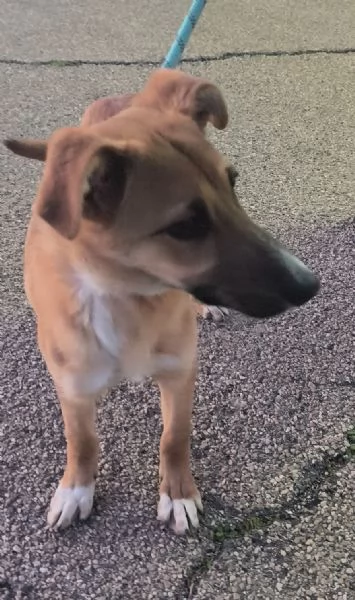 Sceglimi, portami a casa con te | Foto 1