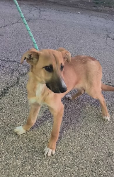 Sceglimi, portami a casa con te | Foto 0