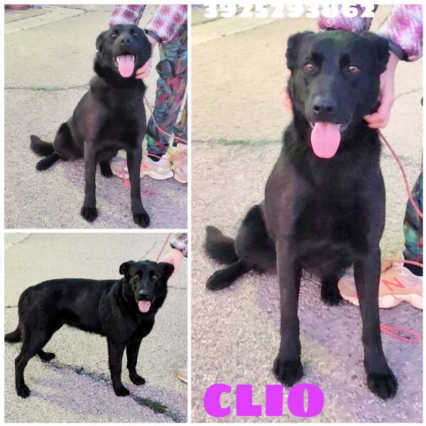 Una famiglia da amare per la dolcissima Clio  | Foto 4