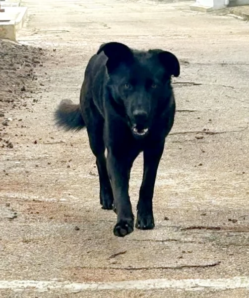 Una famiglia da amare per la dolcissima Clio  | Foto 3